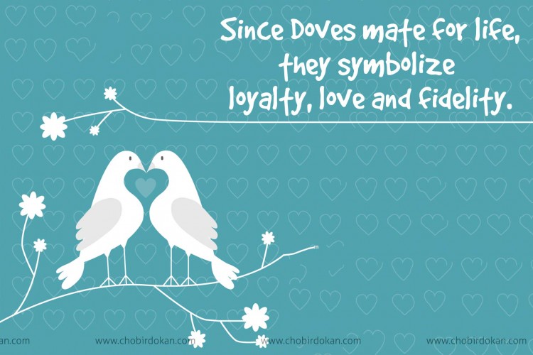 Doves and Love Birds meaning