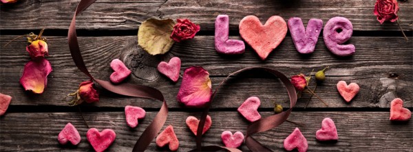 Love rose on wooden wall facebook cover