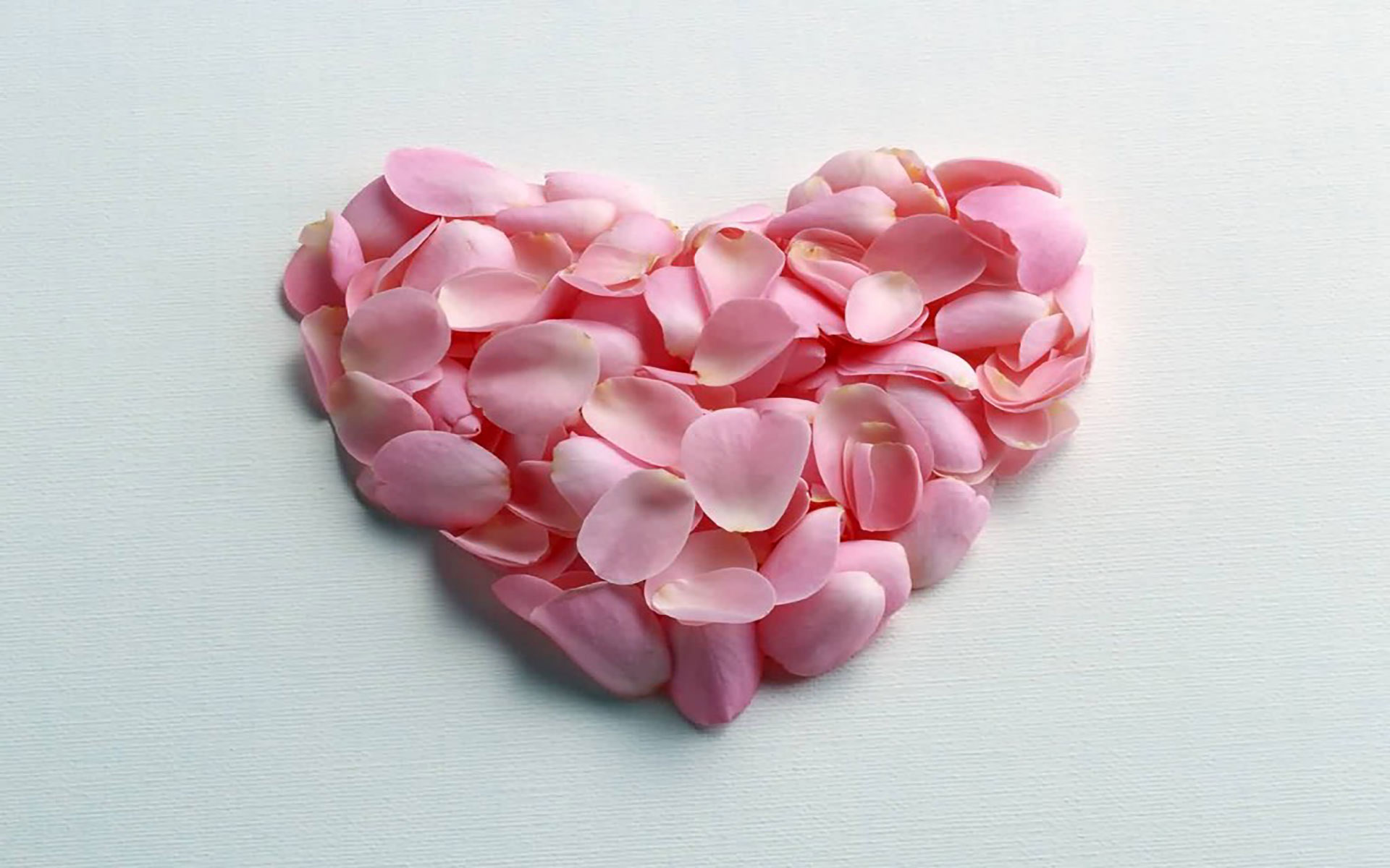 Cute Love Heart wallpaper HD -Free Pink Heart Wallpapers