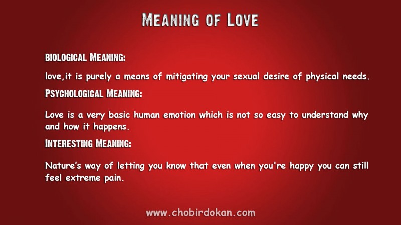 meaning of love